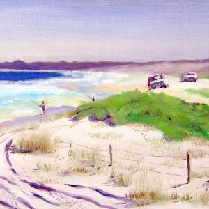 Bream Fishing, Dunbogan Beach