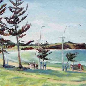 DeeWhy Beach/Longreef 4