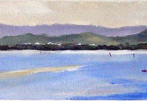 Tuggerah Lake Afternoon