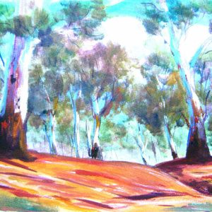 Valley View