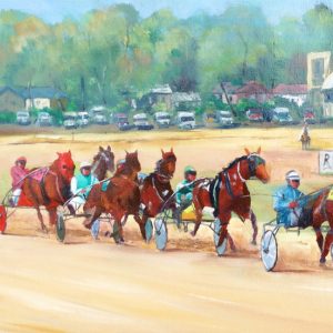 Bankstown Harness Racing - "In the Straight"