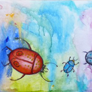Beetles, beetles, beetles