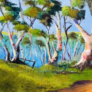 Blue Gum Forest Trail