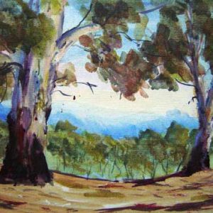 Blue Valley
