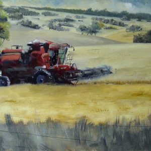 Wheat Harvester at Boorowa