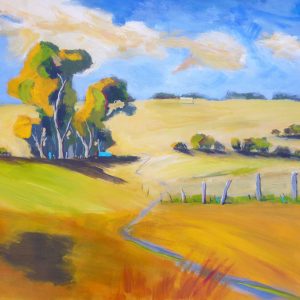 Boorowa Pasture 1