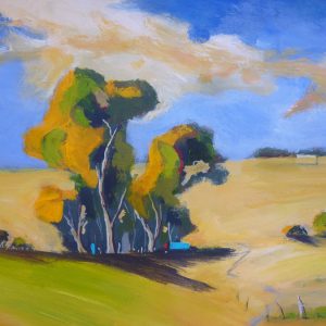Boorowa Pasture 2