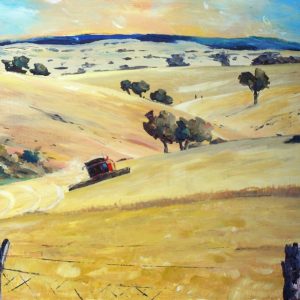 Wheatfields at Boorowa