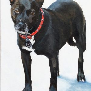"Brutus"