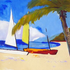 Castaway Island Dreaming
