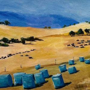Cattle Grazing