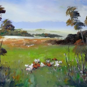 Chooks in the Field