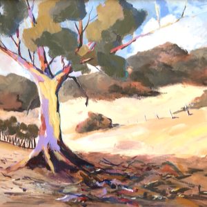 Farm Property at Wellington, NSW