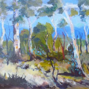 Forest Light
