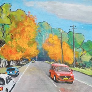 Georges River Road Jannali