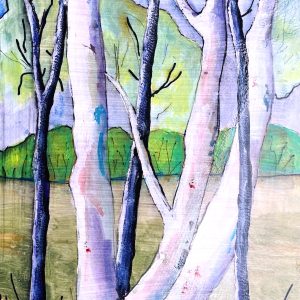 Gumtree Splendour