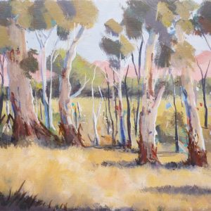 Gum Trees