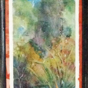 Gymea Lilies2