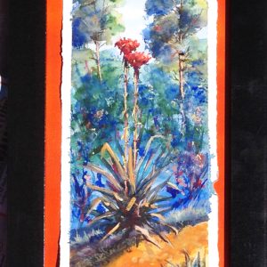 Gymea Lilies No 6