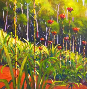 Gymea Lilies