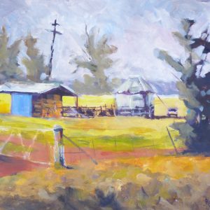 Hayshed near Forbes, NSW No 2