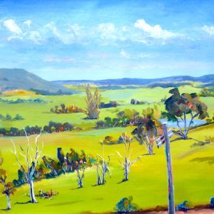 View at Ringarooma, Tasmania