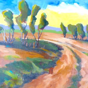 Kimberley Bush Track No 3