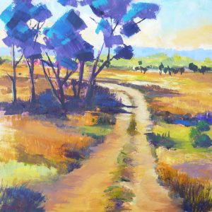 Kimberley Bush Track