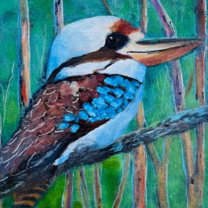 Kookaburra2