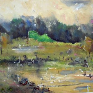 Kurnell Wetland