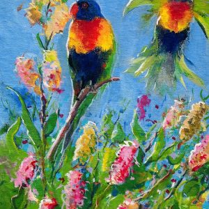Lorikeets in Grevillea Bush