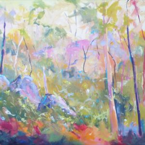 Magic Australian Forest