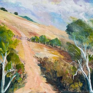 Mudgee Track