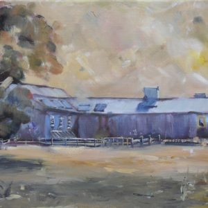 Old Shearing Shed towards Broken Hill