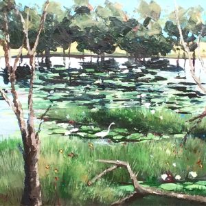 Parry's Lagoon No 3, The Kimberley, Western Australia