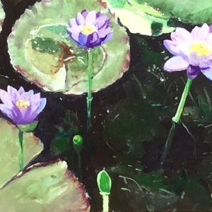 Parry's Lagoon, waterlilies, The Kimberley, Western Australia