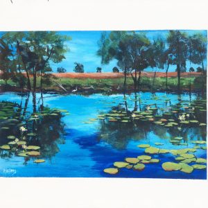 Parry's Lagoon No 4, The Kimberley, Western Australia