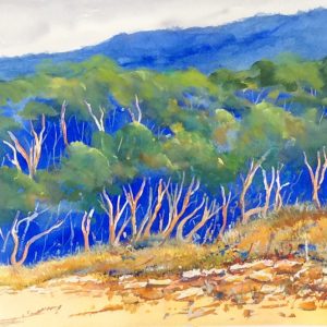 Pretty Beach - Coastal View