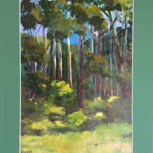 Rain Forest, South Coast, NSW