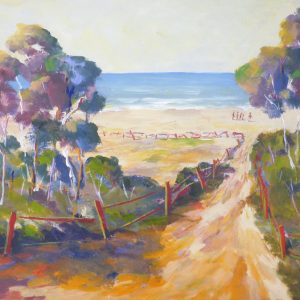 Track to Dunbogan Beach, Mid-North Coast
