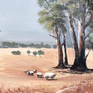 Wide Plains