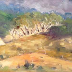 Wiggly Trees, Pretty Beach
